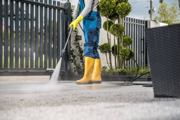 Boat and Dock Cleaning in Wahneta, FL